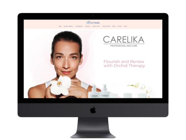 ecommerce website design